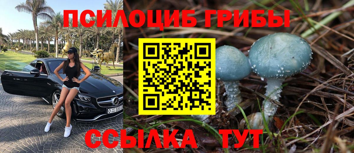 ЛЁД  CBD масло  Где купить наркотики?  Кокаин  Баксан  МЕФ  Гашик  Вход с VPN  Мефедрон  Бошки Шишки  MDMA  Плюхи 